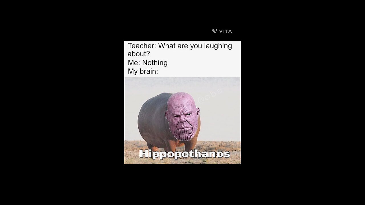 #Hippopothanos