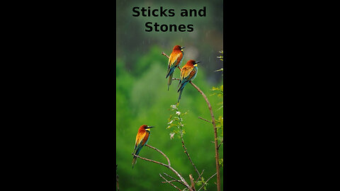 Oliver 🎸 415 ~ Sticks and Stones