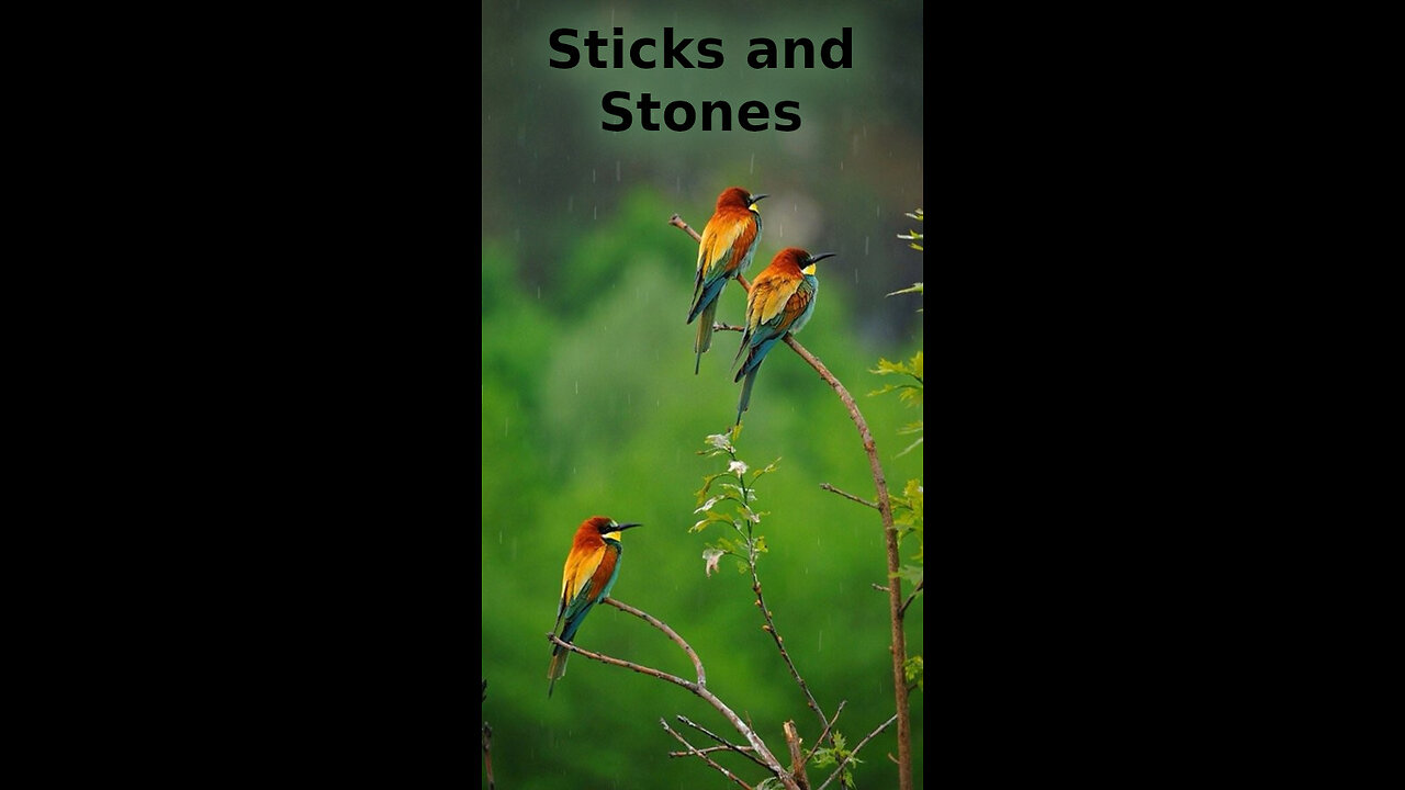 Oliver 🎸 415 ~ Sticks and Stones