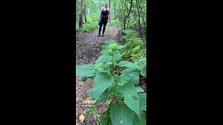 NATURE WALK!