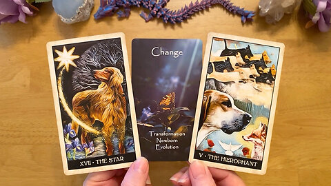 A LATE NIGHT CONFESSION FROM THIS PERSON WILL CHANGE EVERYTHING! 😍