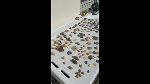 Beach Finds 10/20/2025 | 4K