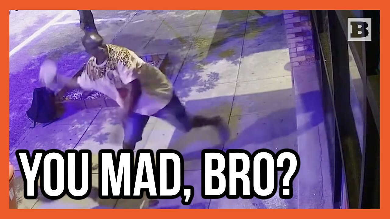 What's with the Anger? Man Throws Large Rocks at Tampa Business