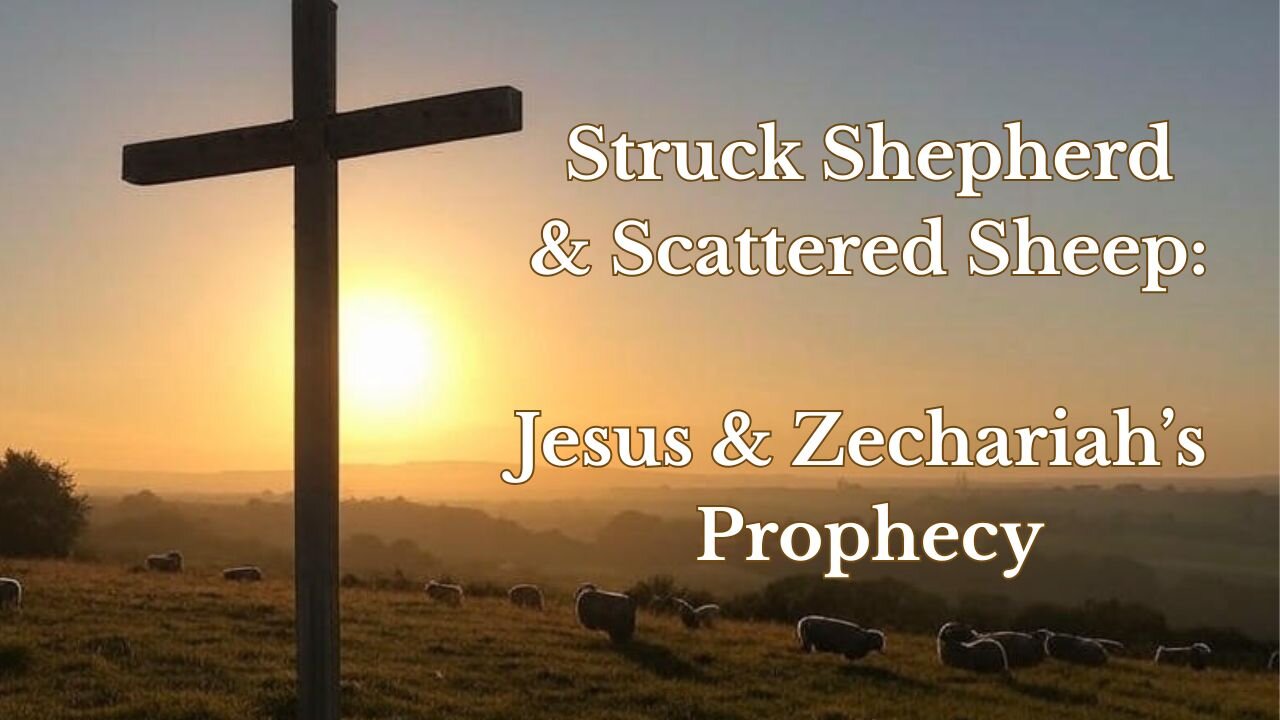 Struck Shepherd & Scattered Sheep: Jesus & Zechariah's Prophecy