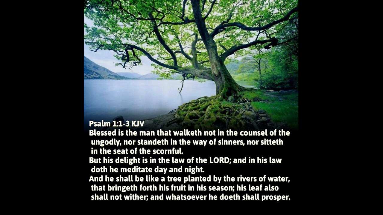 PSALM 13 THRU 30 KJV