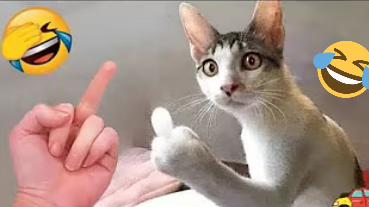 Funniest Cats & Dogs of 2025 🐾🤣 | Try Not to Laugh Compilation!