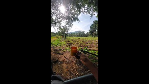You Should Relax & Feel the Nature 🌳 | Pure Peace in Every Frame