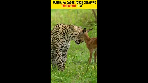 "Duniya ka sabse tough creature hai Tardigrade"😲🤔