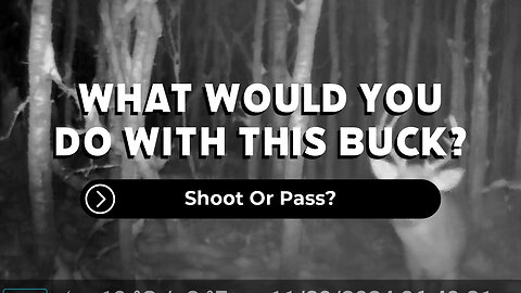 Shoot Or Pass?