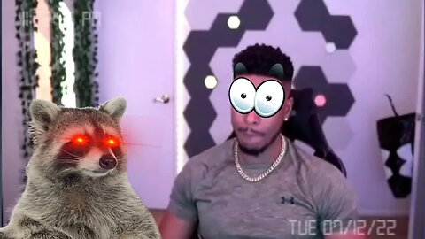 What InconsiderateRaccoon would do to LowTierGod [Chroma Reupload]