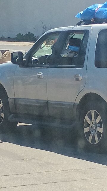 dracs harassing humans