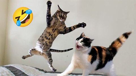 Ultimate Funny Animal Fails: Hilarious Clips to Make You ROFL on YouTube!