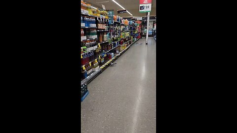 Pigeon in super market