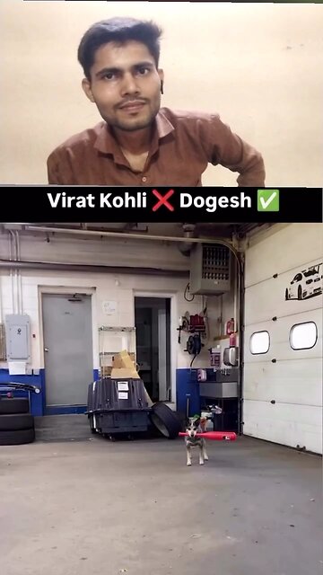 kutte ke sath cricket khel raha hun