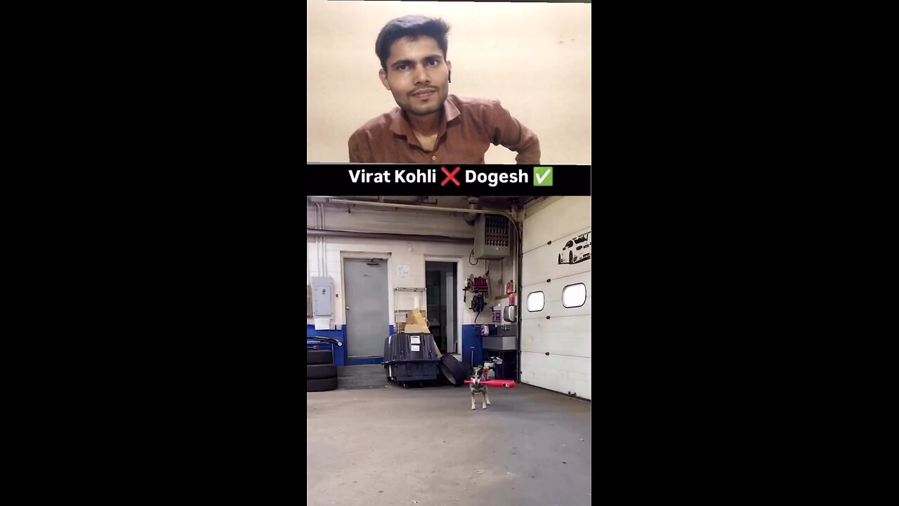 kutte ke sath cricket khel raha hun