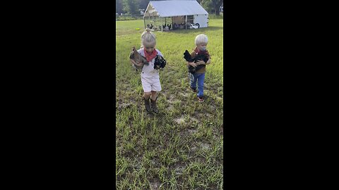 Chicken & goat summer camp!