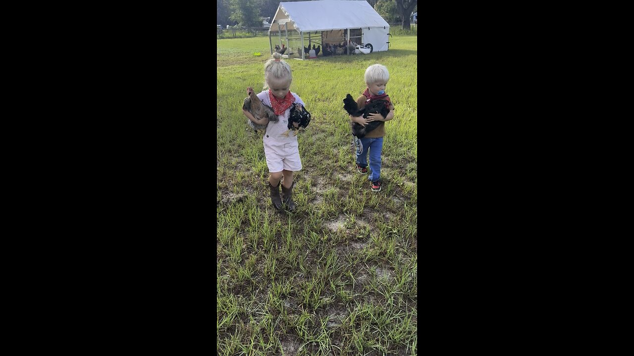 Chicken & goat summer camp!