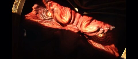 Dragon Emperor Debut