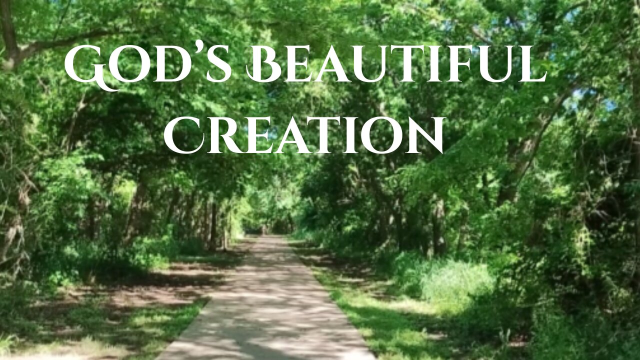 Enjoying God's Beautiful Creation