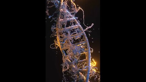 Discover the incredible story of DNA