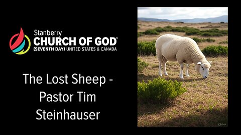 Lost Sheep