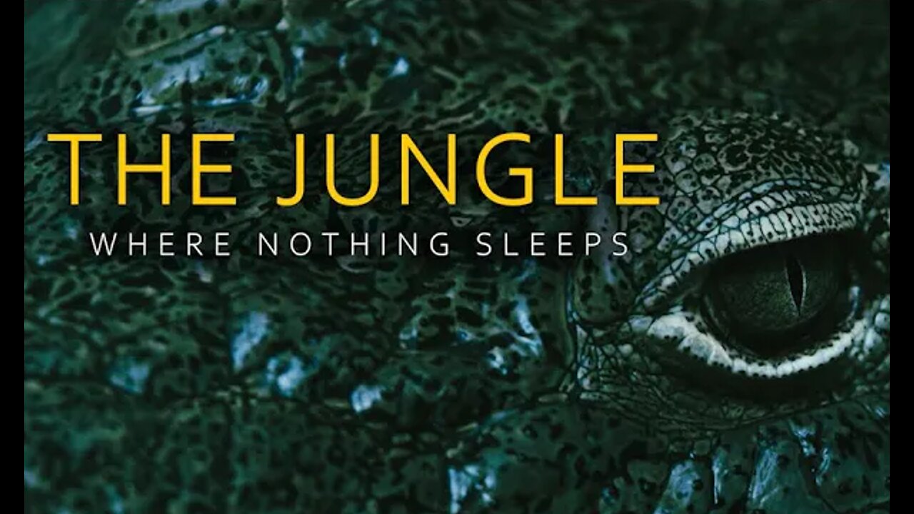 The Jungle. Where Nothing Sleeps. | 4K