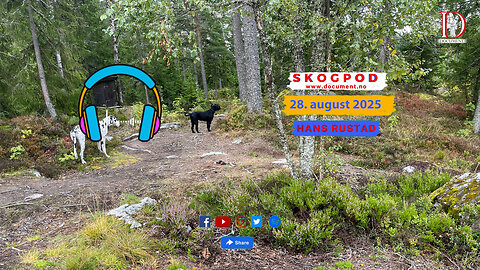 Skogpod 28. august 2025