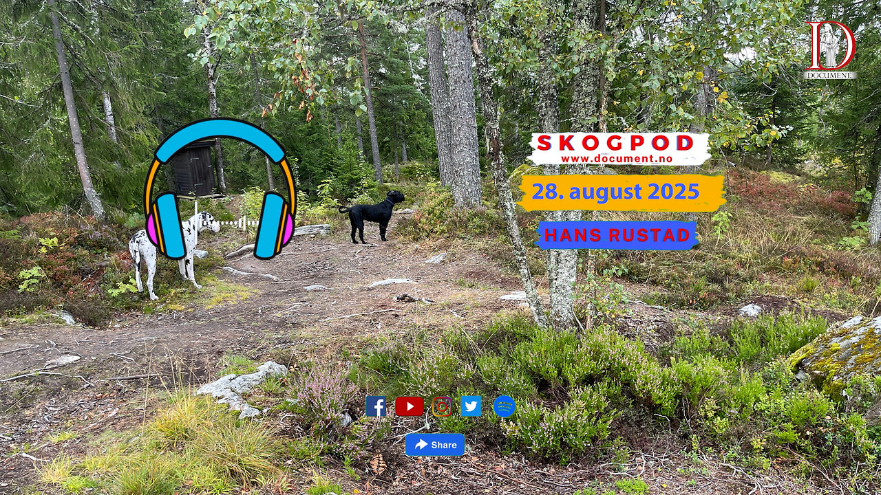 Skogpod 28. august 2025