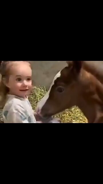 DAVID: A PICTURE OF SERVANTHOOD - DAILY DEVOTIONAL ❤️