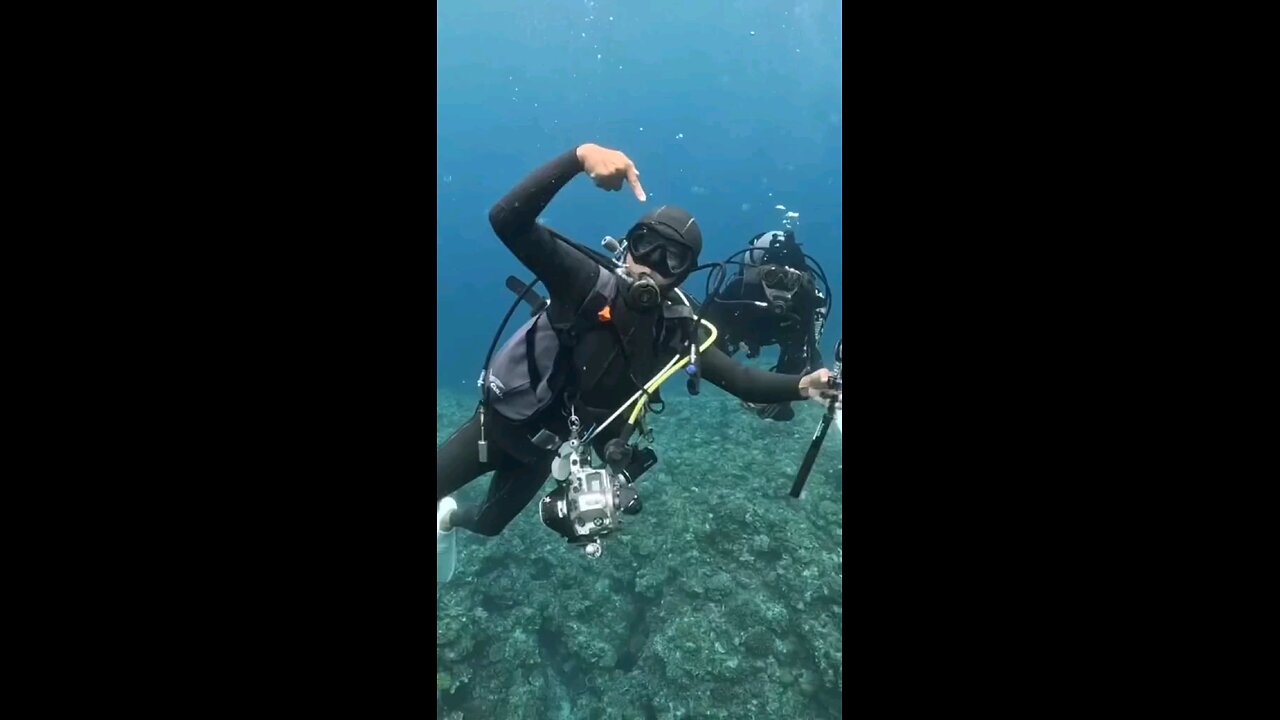 Ocean