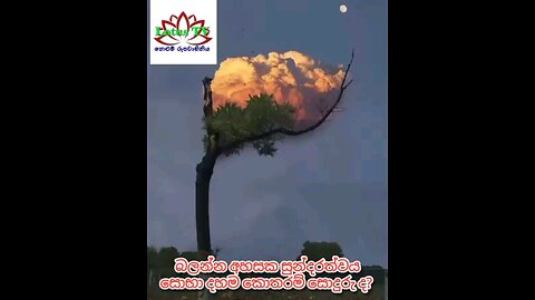 beautiful Nature