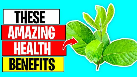 7 Incredible Benefits of GUAVA LEAVES You Need to Know