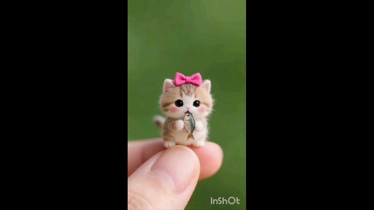 “Tiny Cute Cat Enjoying Cheese on Finger 😻 | Adorable Kitty Moment”