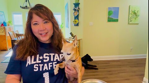 DIY Spare Room Projects, wacky weather and wildlife