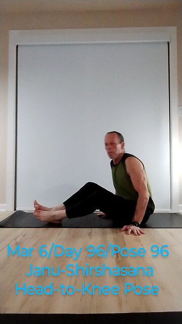 Janu-Shirshasana / Head-to-Knee Pose