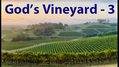 God's Vineyard - 3