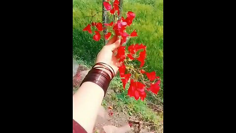 my village beautiful view