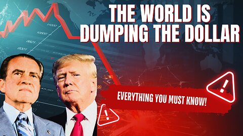 The Dollar's Collapse: What Really Happened...(Gray Area Ep3)