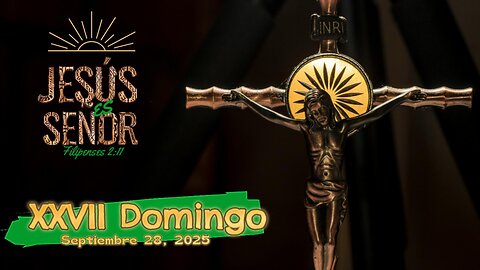 XXXIII Domingo Ordinario