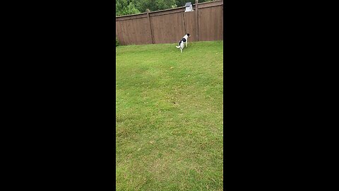 Hunting and Garden