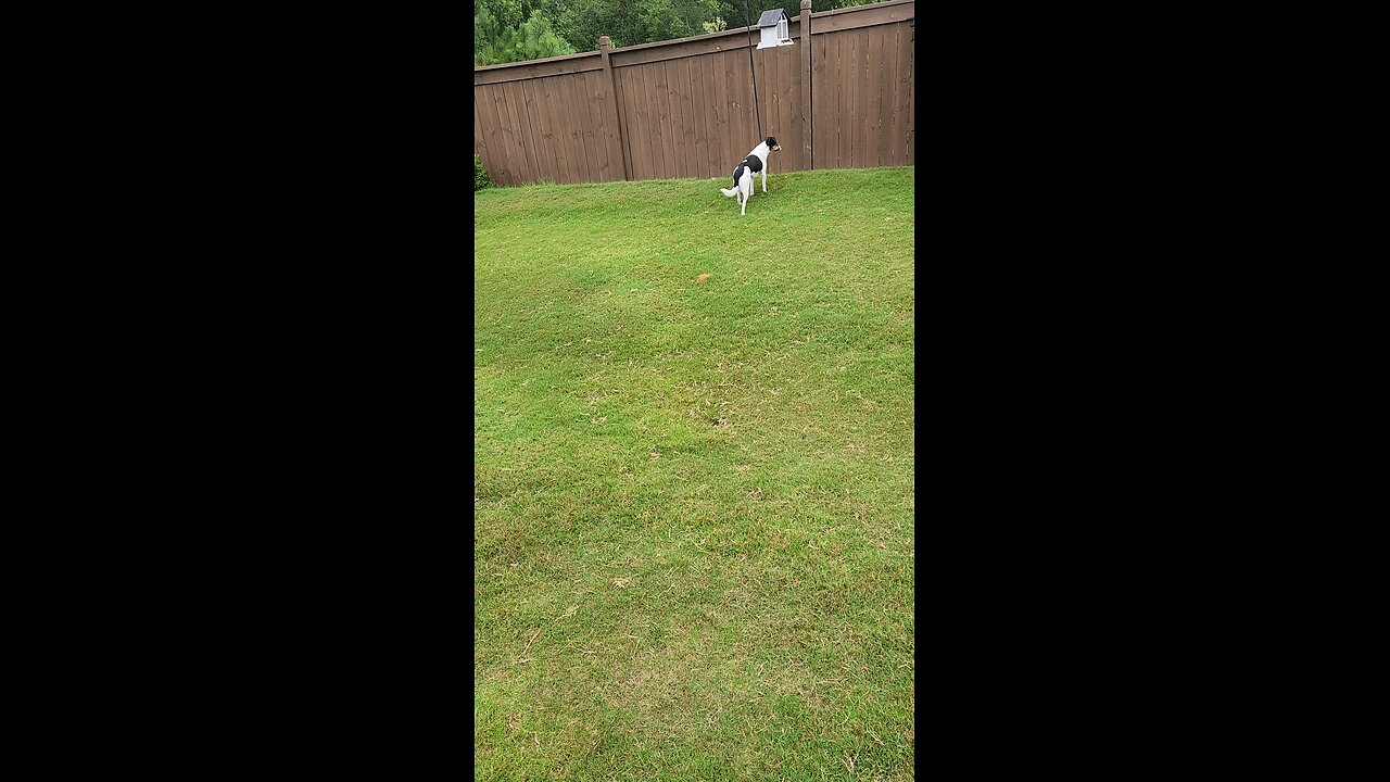 Hunting and Garden