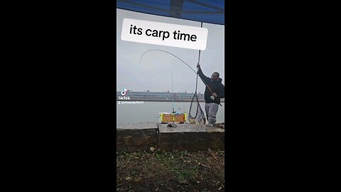 carp fishing in toledo