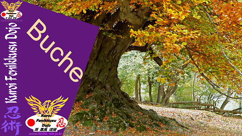 075 - Buche