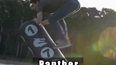 Funny of how animals fight