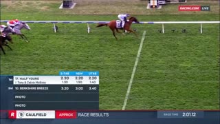 2025 Naturalism Stakes | Half Yours, Statuario, Brayden Star