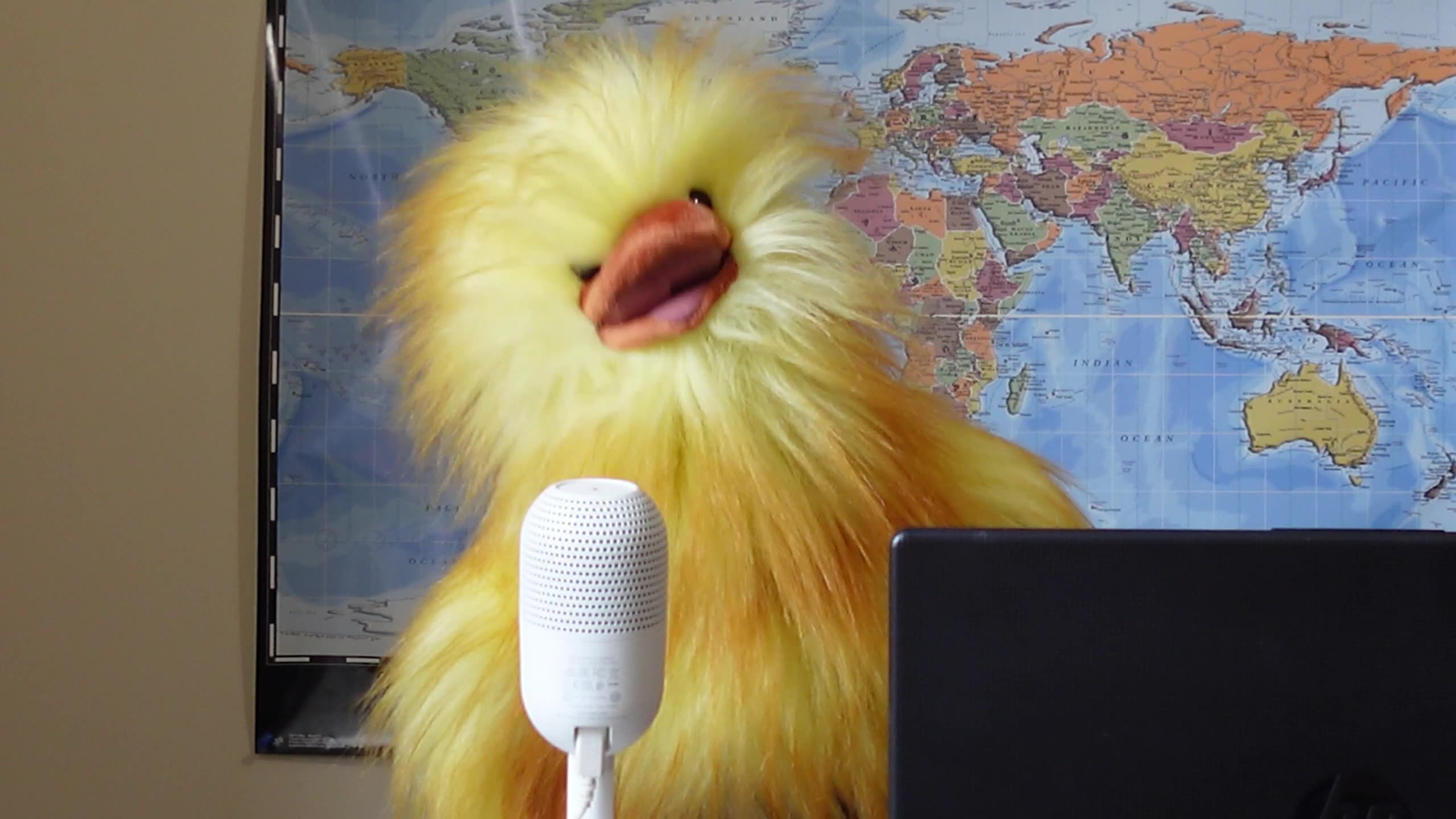 Henrietta LOVES OUR COPS: Not critical of police but their leadership