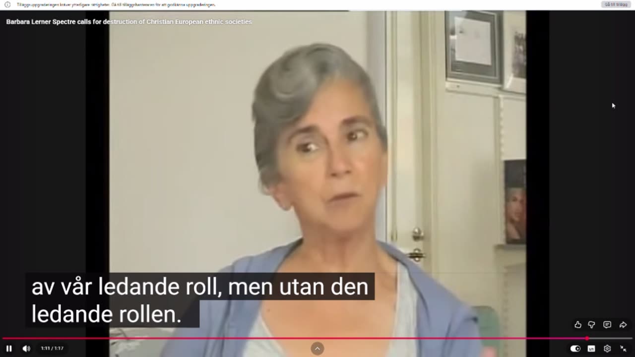 Kalergiplanen och folkutbytet