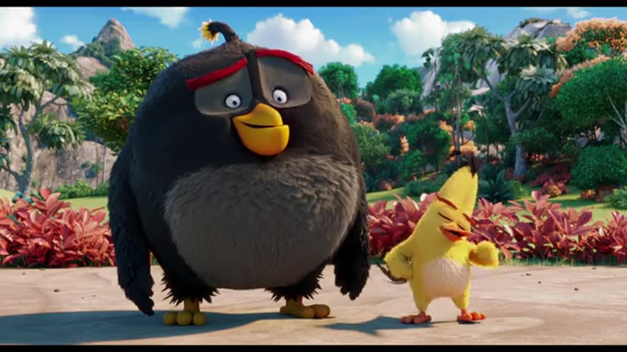 angry birds best scenes