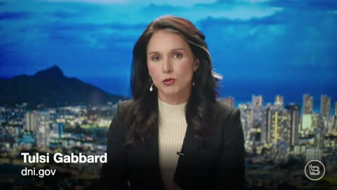 DNI Tulsi Gabbard ⚡whistleblowers are coming forward with documented evidence