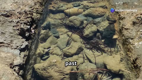 Dive into the Ancient Sunken City of Pavlopetri! #travel #explore #history